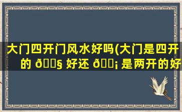 大门四开门风水好吗(大门是四开的 🐧 好还 🐡 是两开的好)